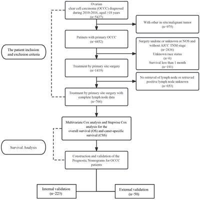 Construction and validation of log odds of positive lymph nodes (LODDS)-based nomograms for predicting overall survival and cancer-specific survival in ovarian clear cell carcinoma patients